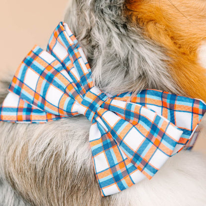 Ringo dog babe bow — additional photo 4