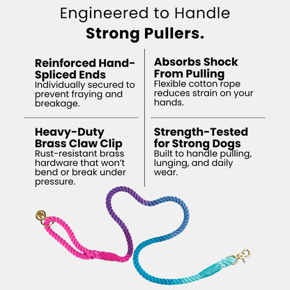 Magnolia rope dog leash — additional photo 5