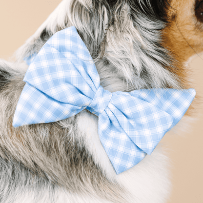 Rory dog babe bow — additional photo 4