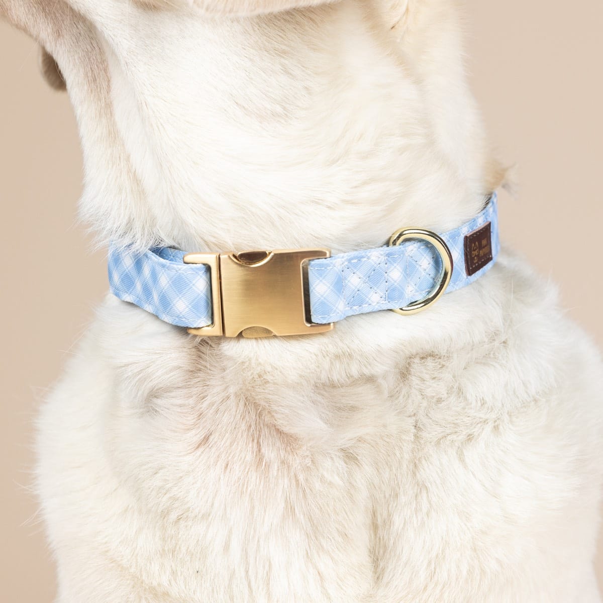Rory dog collar — additional photo 4