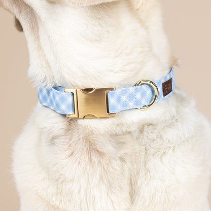 Rory dog collar — additional photo 4