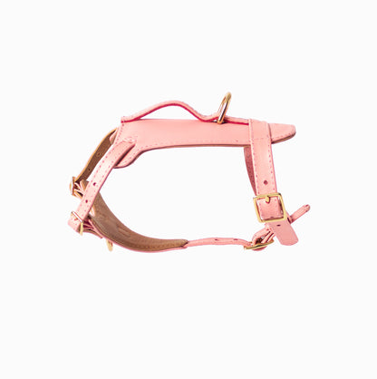 Rosè Heritage Harness