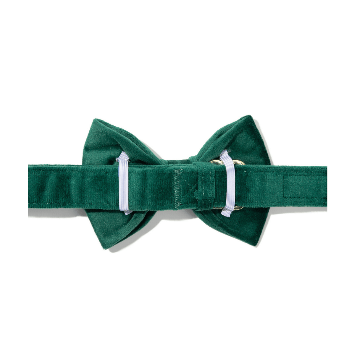 Rue dog bow tie — additional photo 2