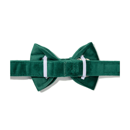 Rue dog bow tie — additional photo 2