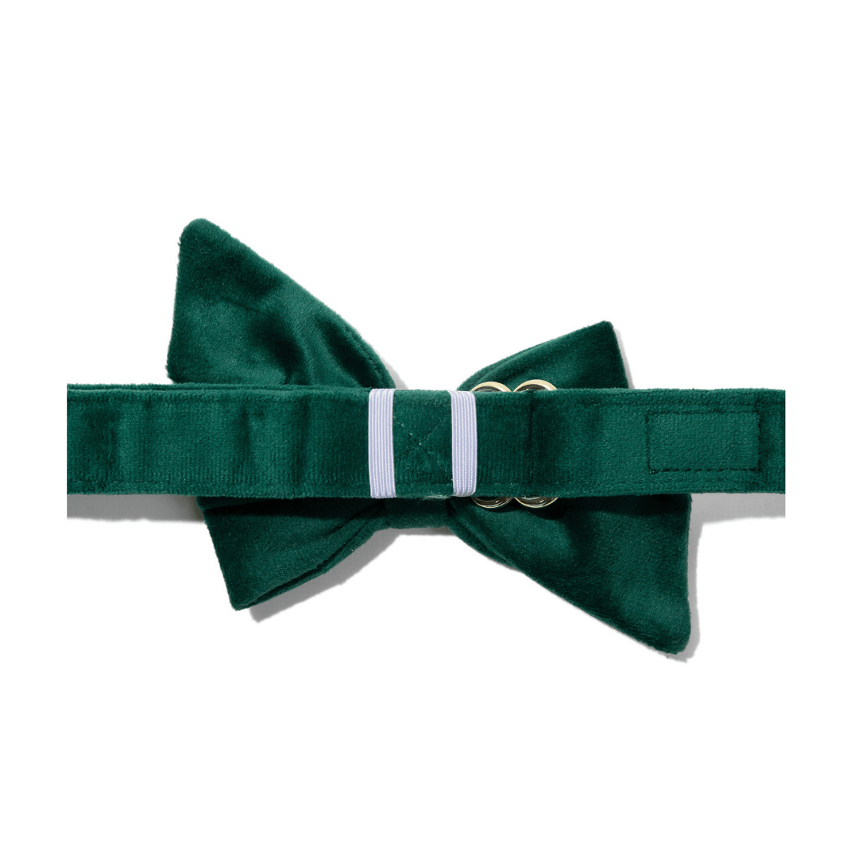 Rue dog babe bow — additional photo 2