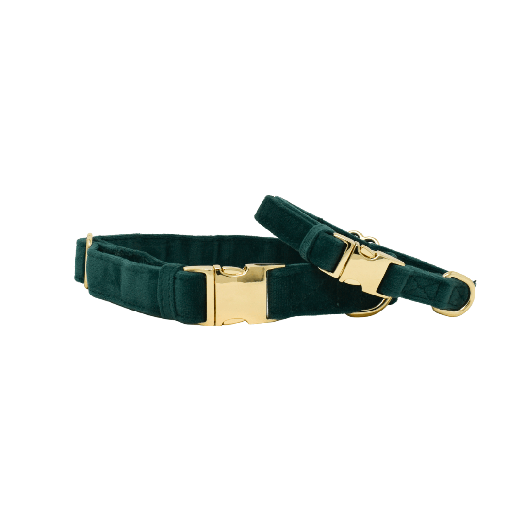 Rue – Green Dog Collar, Adjustable XS–L