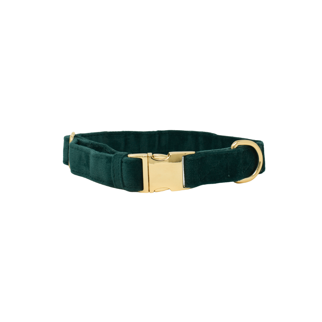 Rue dog collar — additional photo 2
