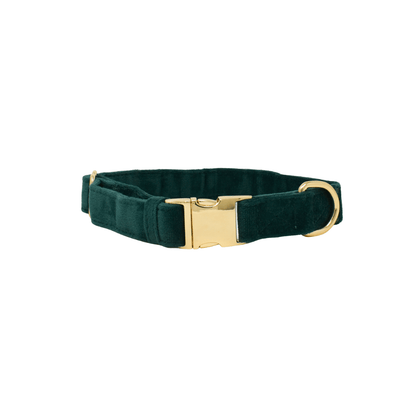 Rue dog collar — additional photo 2
