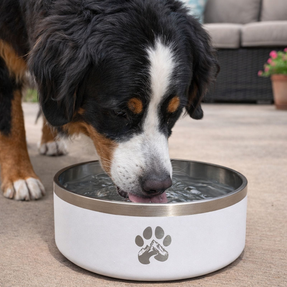 Stainless Steel Feeder Bowl