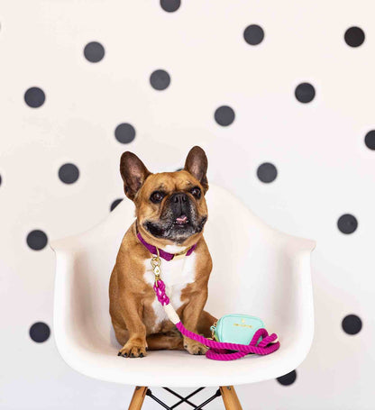 Bree rope dog leash — additional photo 6