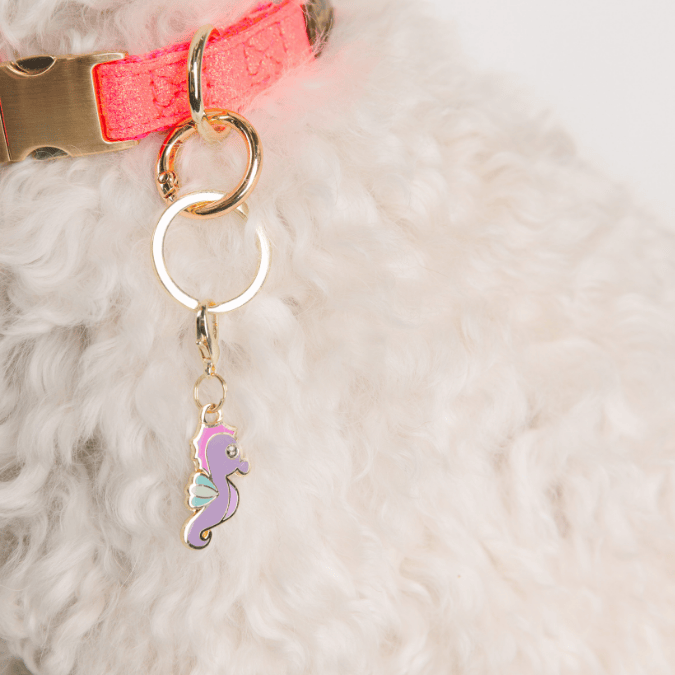 Seahorse Dog Collar Charm — additional photo 2