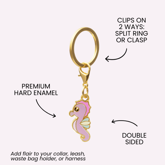 Seahorse Dog Collar Charm — additional photo 3