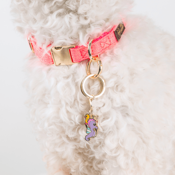 Summer Drink & Seahorse Dog Collar Charm Set — additional photo 2