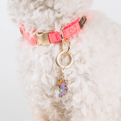 Summer Drink & Seahorse Dog Collar Charm Set — additional photo 2