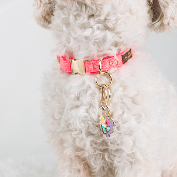 Summer Drink & Seahorse Dog Collar Charm Set — additional photo 3
