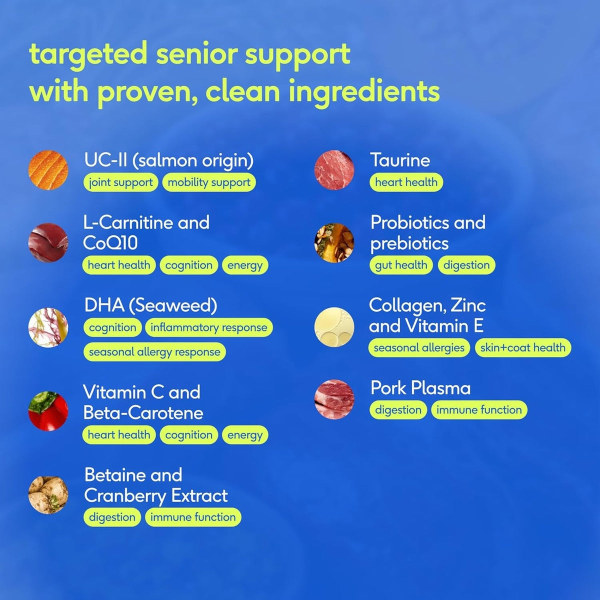 Senior Dog 12-in-1 Multivitamin Powder, 30 Scoops