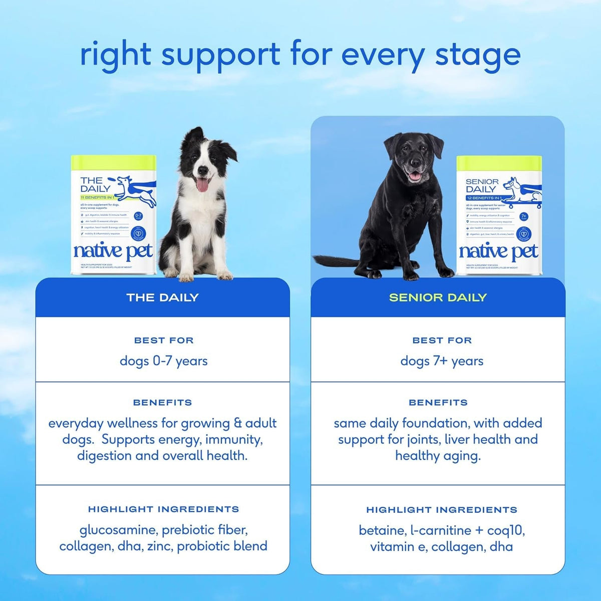 Senior Dog 12-in-1 Multivitamin Powder, 30 Scoops