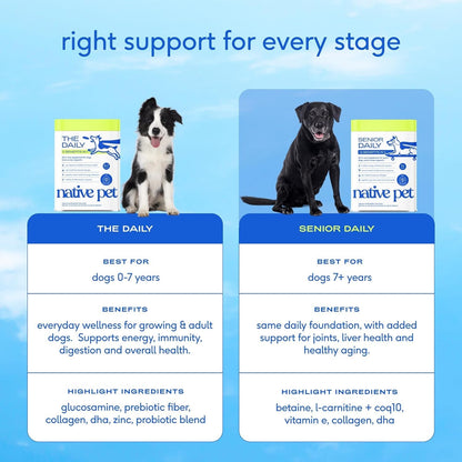 Senior Dog 12-in-1 Multivitamin Powder, 30 Scoops