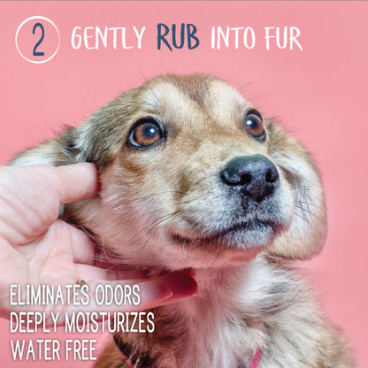 Waterless Shampoo and Conditioner Spray for Dogs and Cats