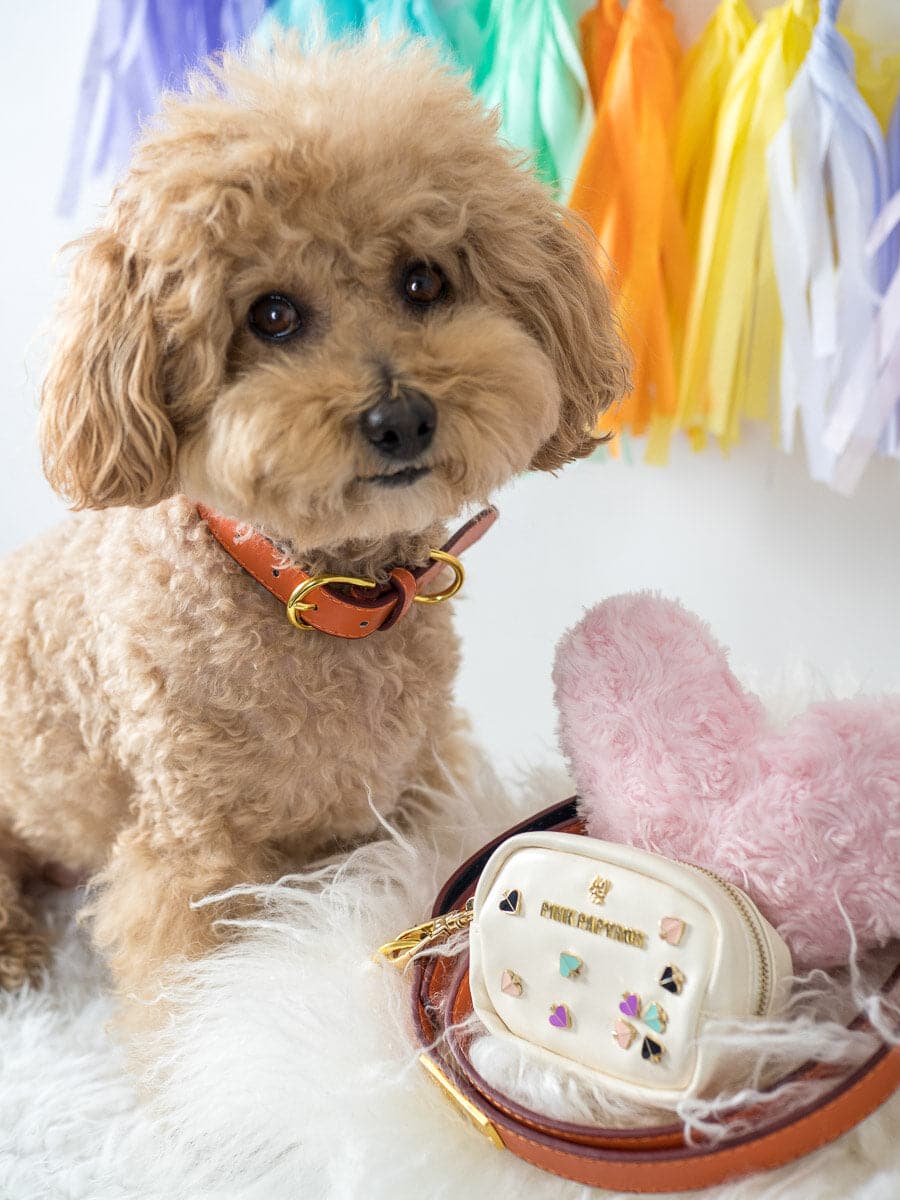 Ainsley dog collar — additional photo 3