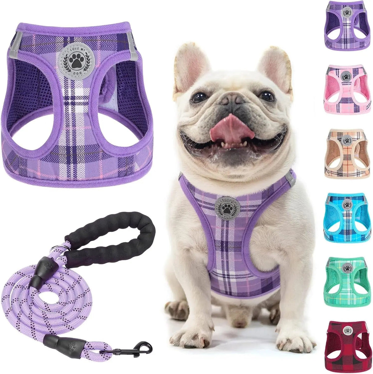 Reflective Step-In Dog Harness and Leash Set, XS-XL
