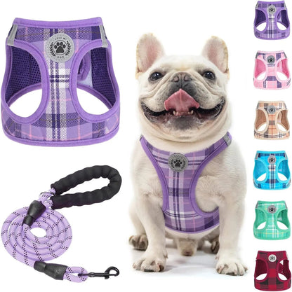 Reflective Step-In Dog Harness and Leash Set, XS-XL