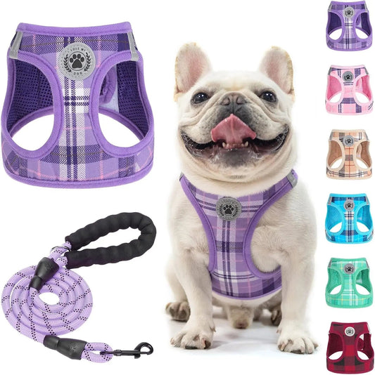 Reflective Step-In Dog Harness and Leash Set, XS-XL