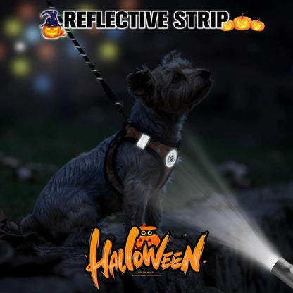 Reflective Step-In Dog Harness and Leash Set, XS-XL