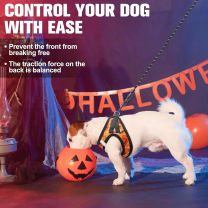 Reflective Step-In Dog Harness and Leash Set, XS-XL