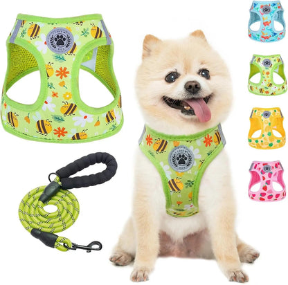 Reflective Step-In Dog Harness and Leash Set, XS-XL