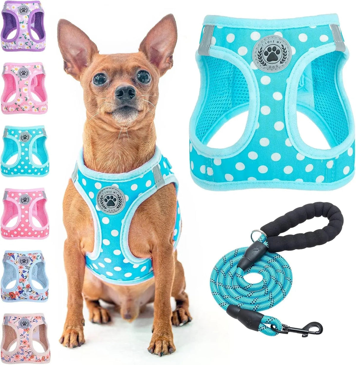 Reflective Step-In Dog Harness and Leash Set, XS-XL