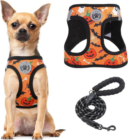 Reflective Step-In Dog Harness and Leash Set, XS-XL