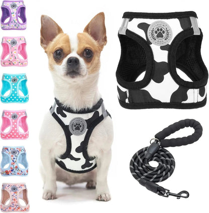 Reflective Step-In Dog Harness and Leash Set, XS-XL