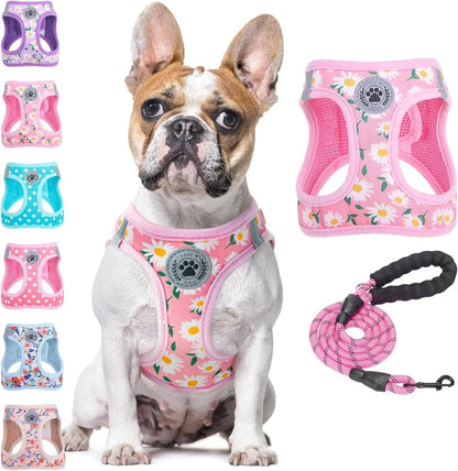 Reflective Step-In Dog Harness and Leash Set, XS-XL