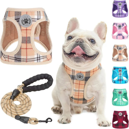 Reflective Step-In Dog Harness and Leash Set, XS-XL