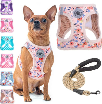 Reflective Step-In Dog Harness and Leash Set, XS-XL