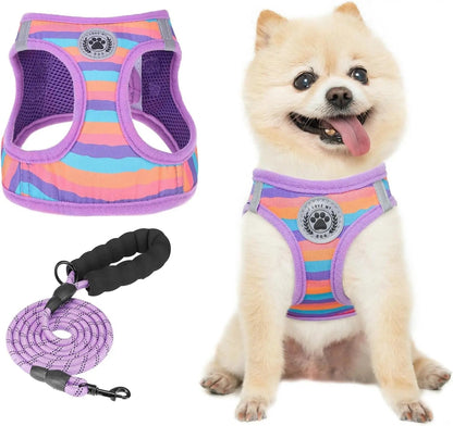 Reflective Step-In Dog Harness and Leash Set, XS-XL
