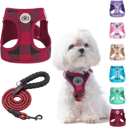 Reflective Step-In Dog Harness and Leash Set, XS-XL