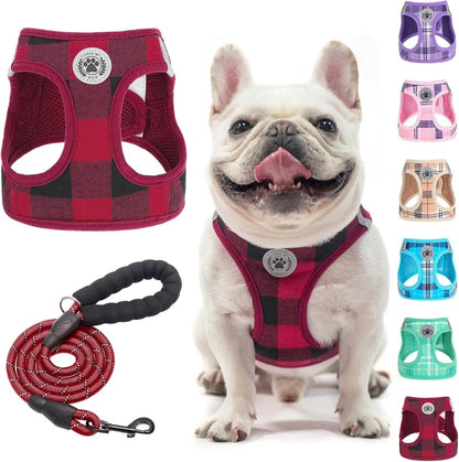 Reflective Step-In Dog Harness and Leash Set, XS-XL