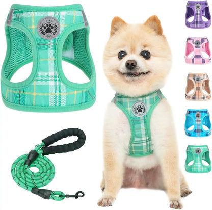 Reflective Step-In Dog Harness and Leash Set, XS-XL