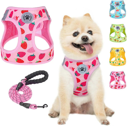 Reflective Step-In Dog Harness and Leash Set, XS-XL