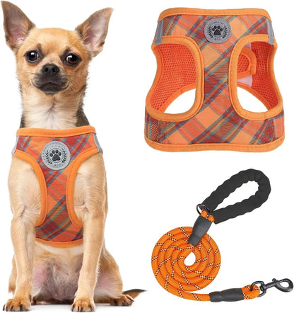 Reflective Step-In Dog Harness and Leash Set, XS-XL