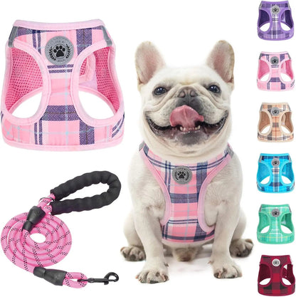 Reflective Step-In Dog Harness and Leash Set, XS-XL