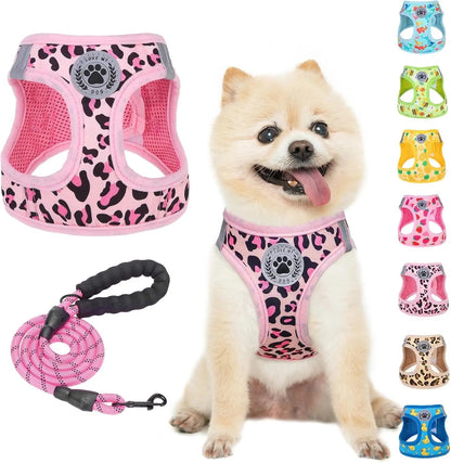 Reflective Step-In Dog Harness and Leash Set, XS-XL