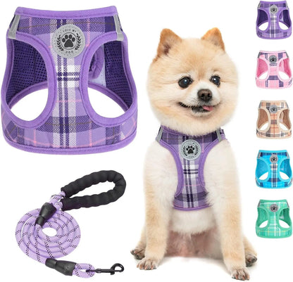 Reflective Step-In Dog Harness and Leash Set, XS-XL
