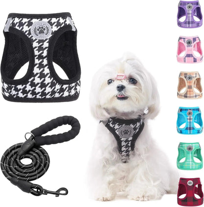 Reflective Step-In Dog Harness and Leash Set, XS-XL