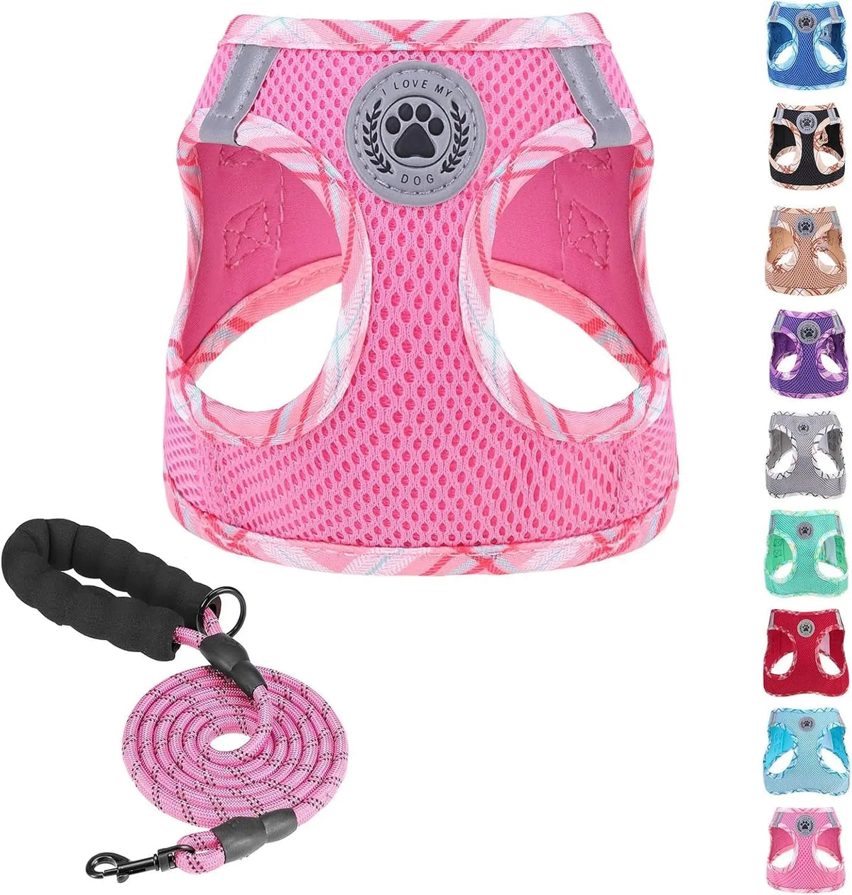 Reflective Step-In Dog Harness and Leash Set, XS-XL