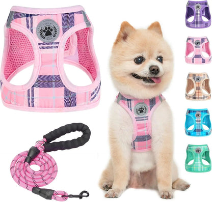 Reflective Step-In Dog Harness and Leash Set, XS-XL