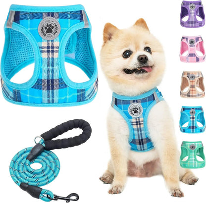 Reflective Step-In Dog Harness and Leash Set, XS-XL