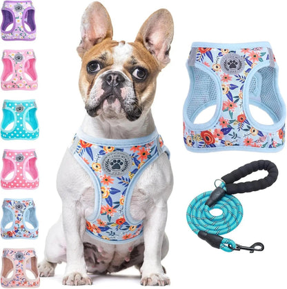 Reflective Step-In Dog Harness and Leash Set, XS-XL